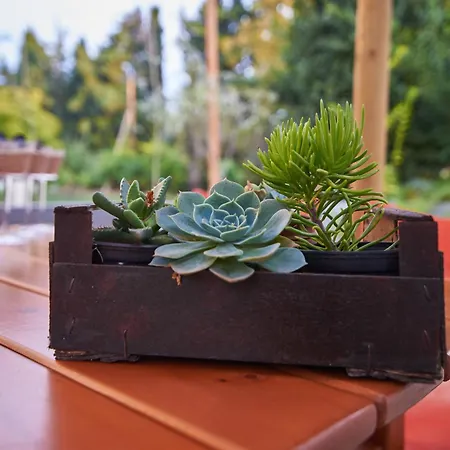 Sunset - With Seaview & Back Side Apartements Toroni